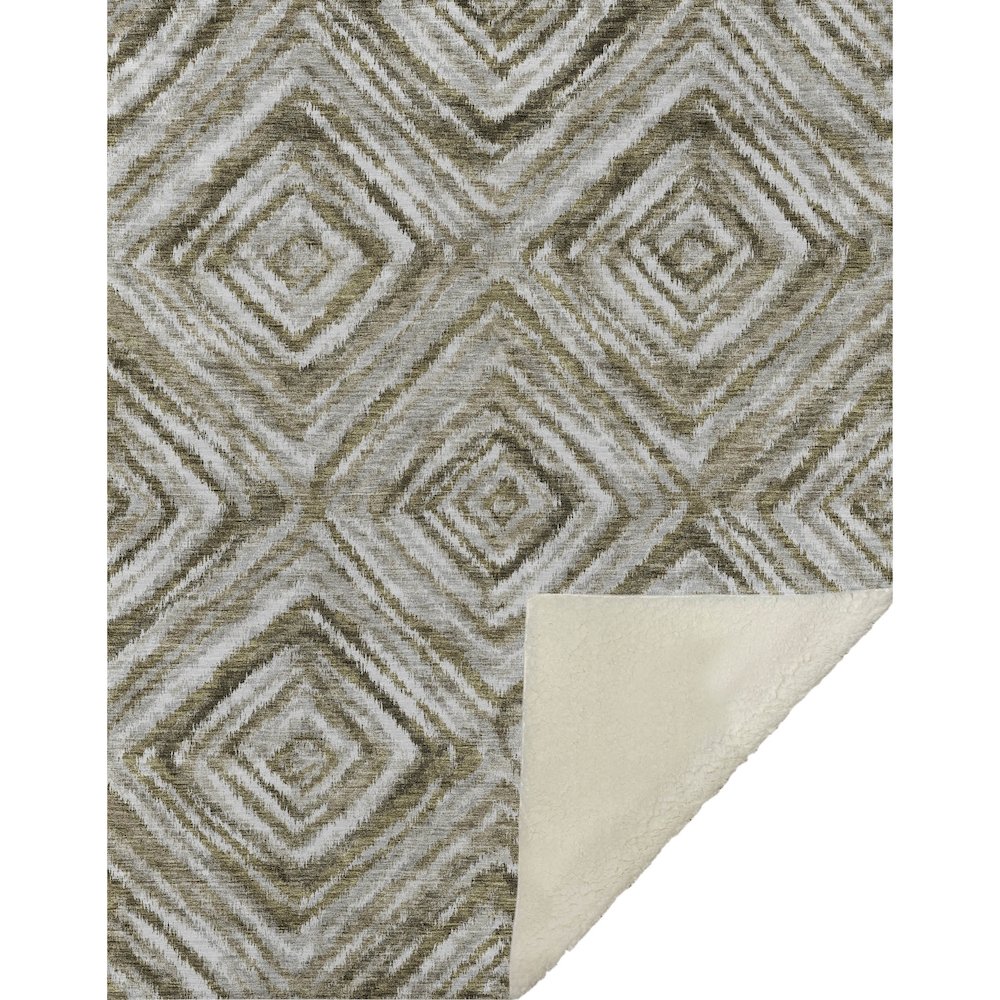 Premium Machine Washable ASB781 Brown 50" x 70" Sherpa Throw Blanket. Picture 1