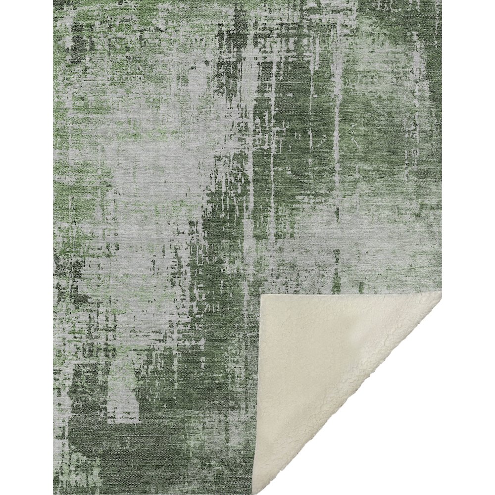 Premium Machine Washable ASB796 Fern 50" x 70" Sherpa Throw Blanket. Picture 1