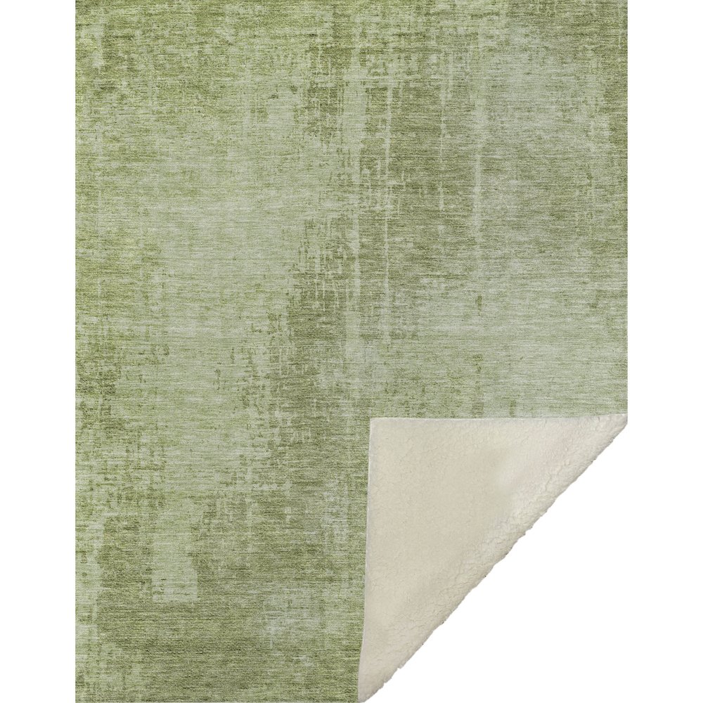 Premium Machine Washable ASB796 Sage 50" x 70" Sherpa Throw Blanket. Picture 1