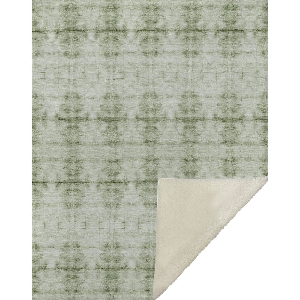 Premium Machine Washable ASB799 Sage 50" x 70" Sherpa Throw Blanket. Picture 1