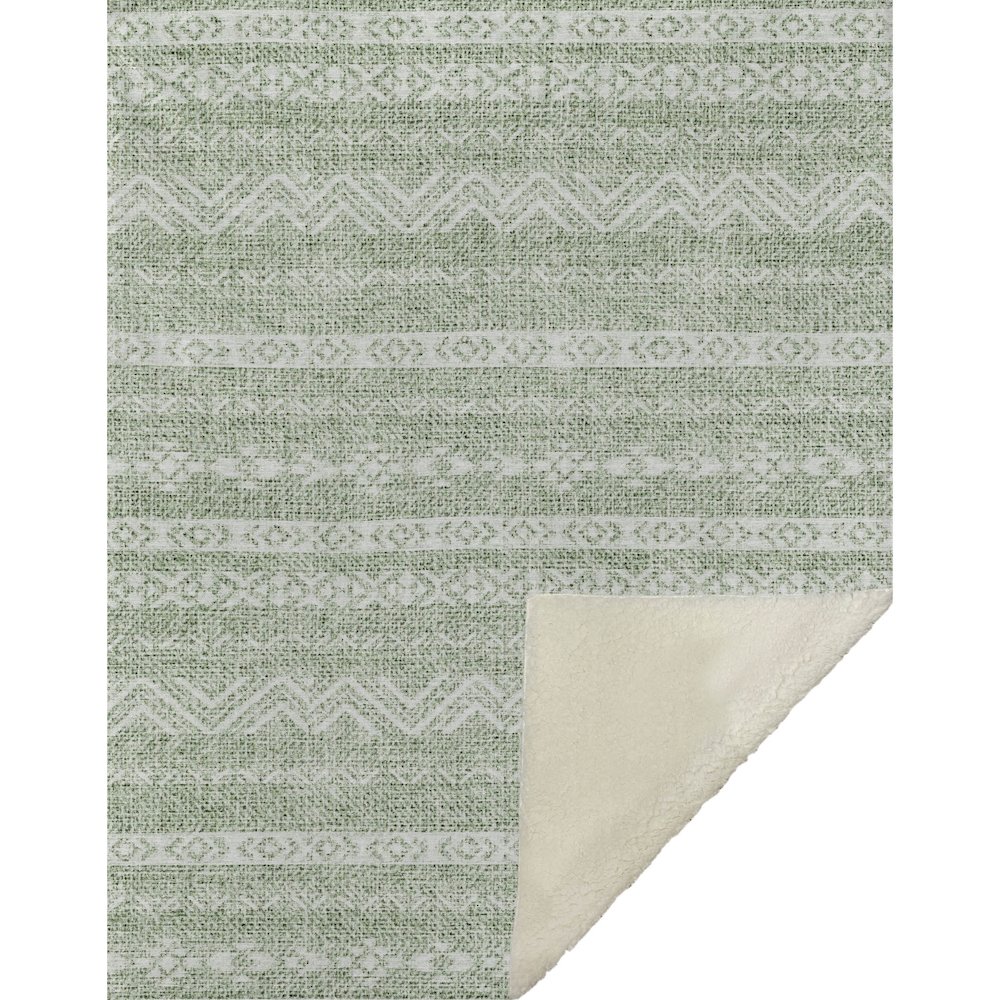 Premium Machine Washable ASB803 Aloe 50" x 70" Sherpa Throw Blanket. Picture 1