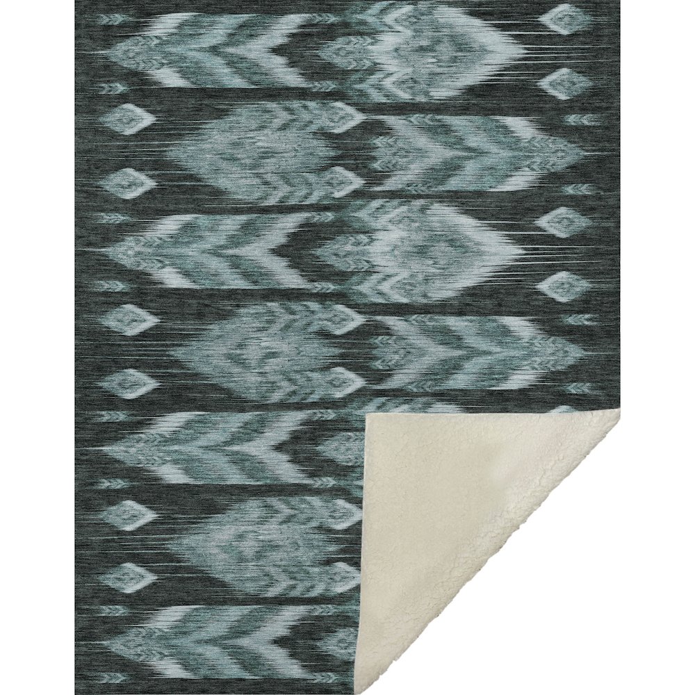 Premium Machine Washable ASB812 Teal 50" x 70" Sherpa Throw Blanket. Picture 1