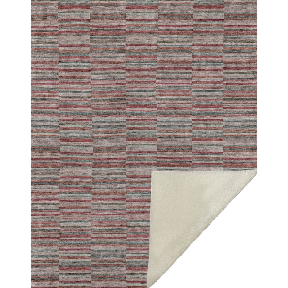 Premium Machine Washable ASB816 Red 50" x 70" Sherpa Throw Blanket. Picture 1