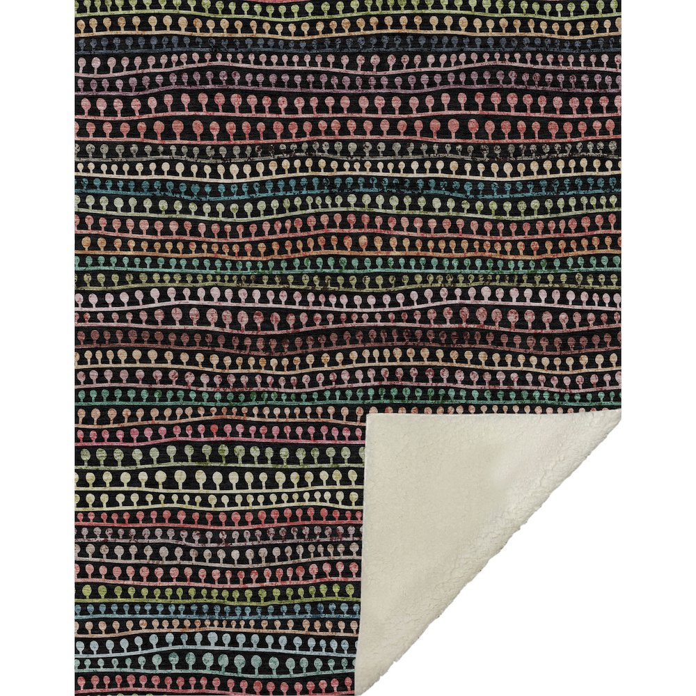Premium Machine Washable ASB823 Black 50" x 70" Sherpa Throw Blanket. Picture 1