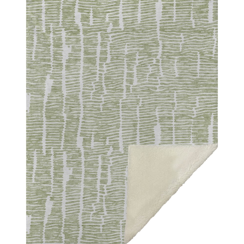 Premium Machine Washable ASB830 Aloe 50" x 70" Sherpa Throw Blanket. Picture 1