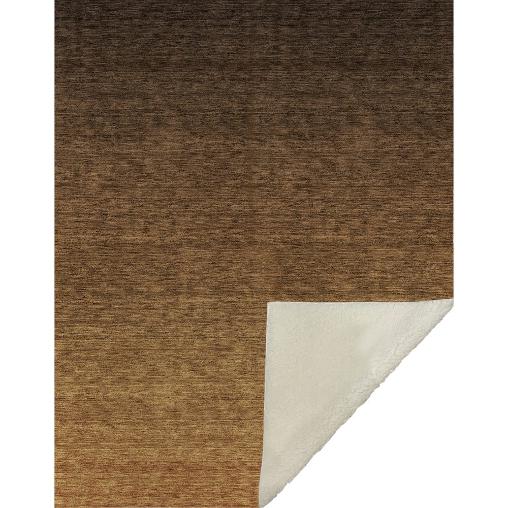Premium Machine Washable ASB833 Chocolate 50" x 70" Sherpa Throw Blanket. Picture 1