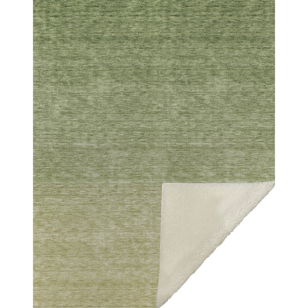 Premium Machine Washable ASB833 Green 50" x 70" Sherpa Throw Blanket. Picture 1