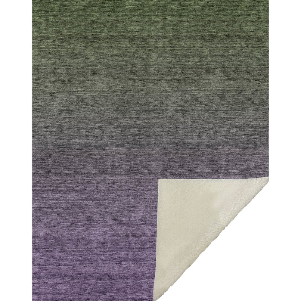 Premium Machine Washable ASB833 Purple 50" x 70" Sherpa Throw Blanket. Picture 1