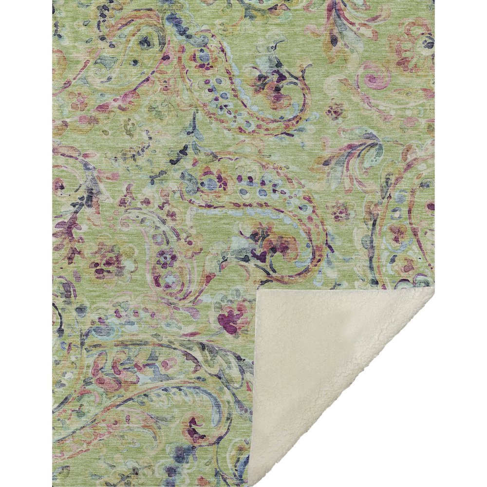 Premium Machine Washable ASB834 Aloe 50" x 70" Sherpa Throw Blanket. Picture 1
