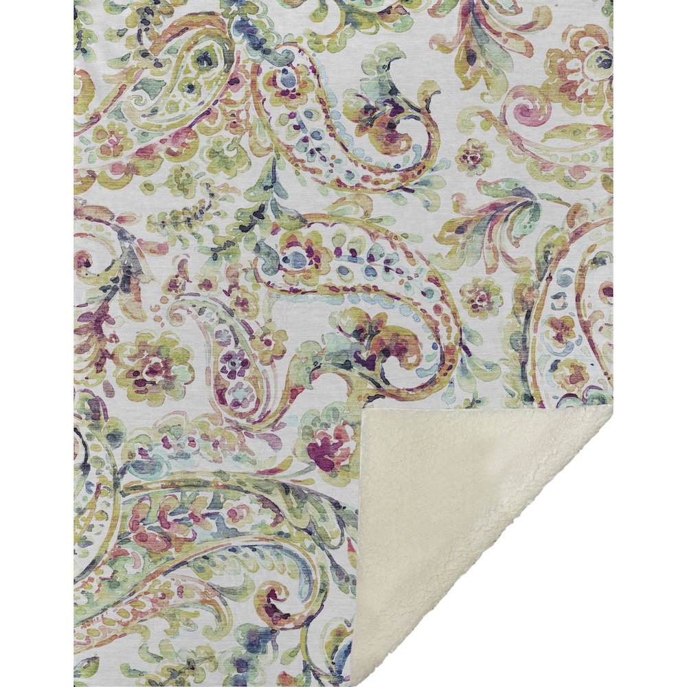 Premium Machine Washable ASB834 Ivory 50" x 70" Sherpa Throw Blanket. Picture 1