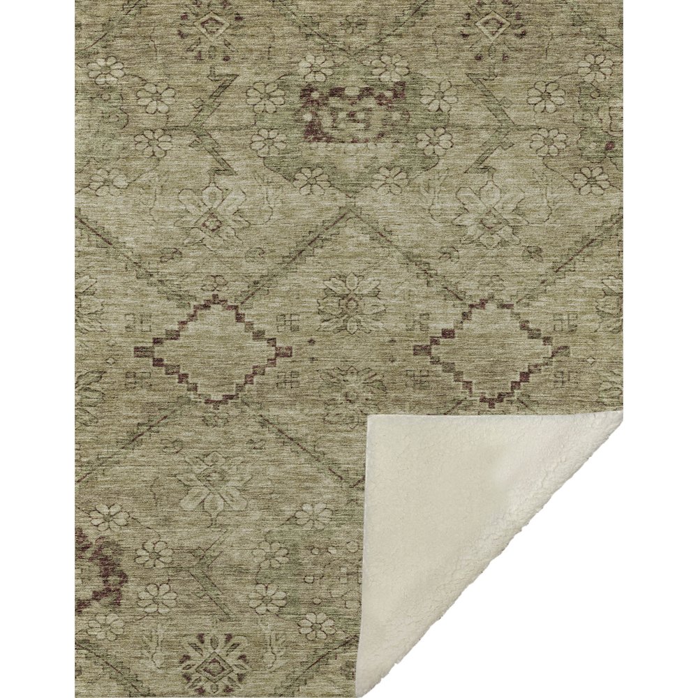 Premium Machine Washable ASB842 Brown 50" x 70" Sherpa Throw Blanket. Picture 1