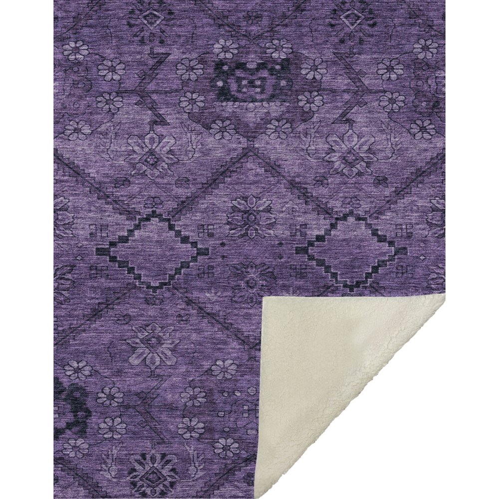 Premium Machine Washable ASB842 Eggplant 50" x 70" Sherpa Throw Blanket. Picture 1