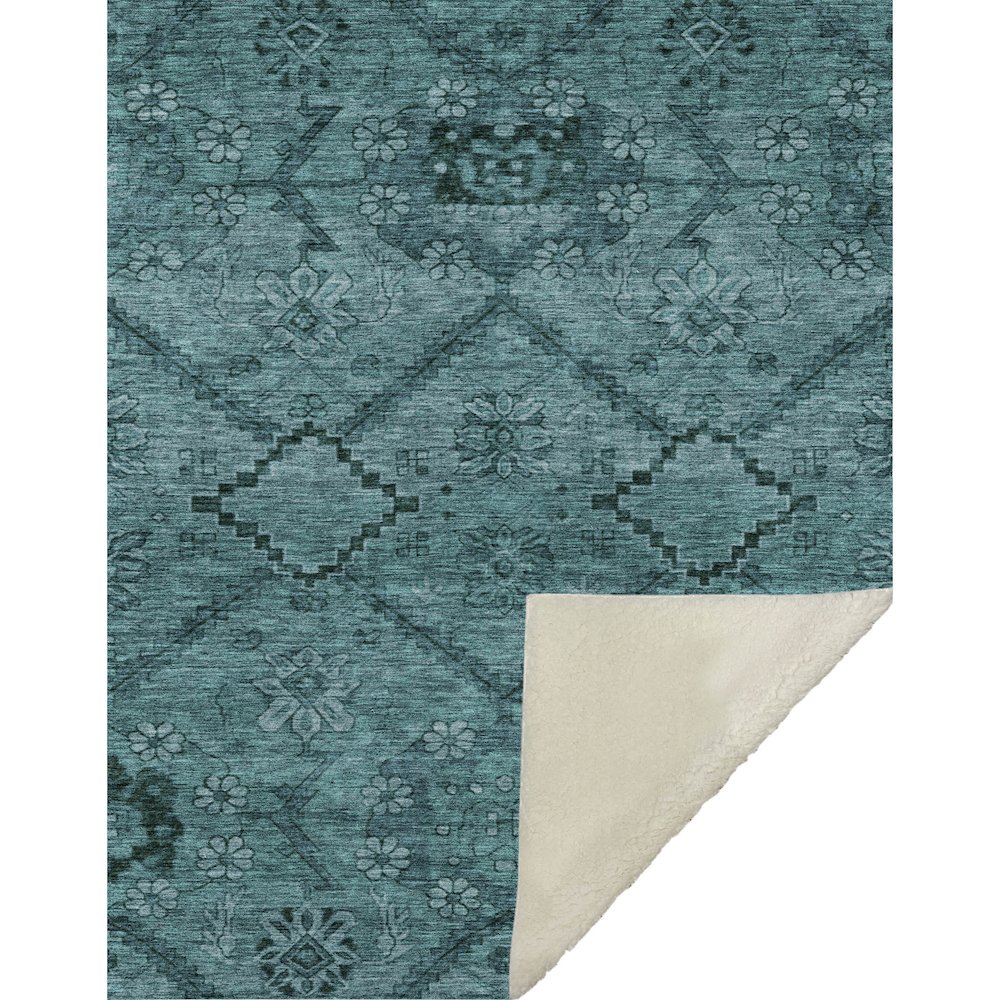 Premium Machine Washable ASB842 Teal 50" x 70" Sherpa Throw Blanket. Picture 1