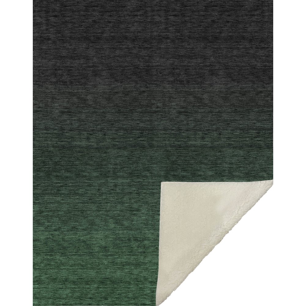 Premium Machine Washable ASB844 Emerald 50" x 70" Sherpa Throw Blanket. Picture 1