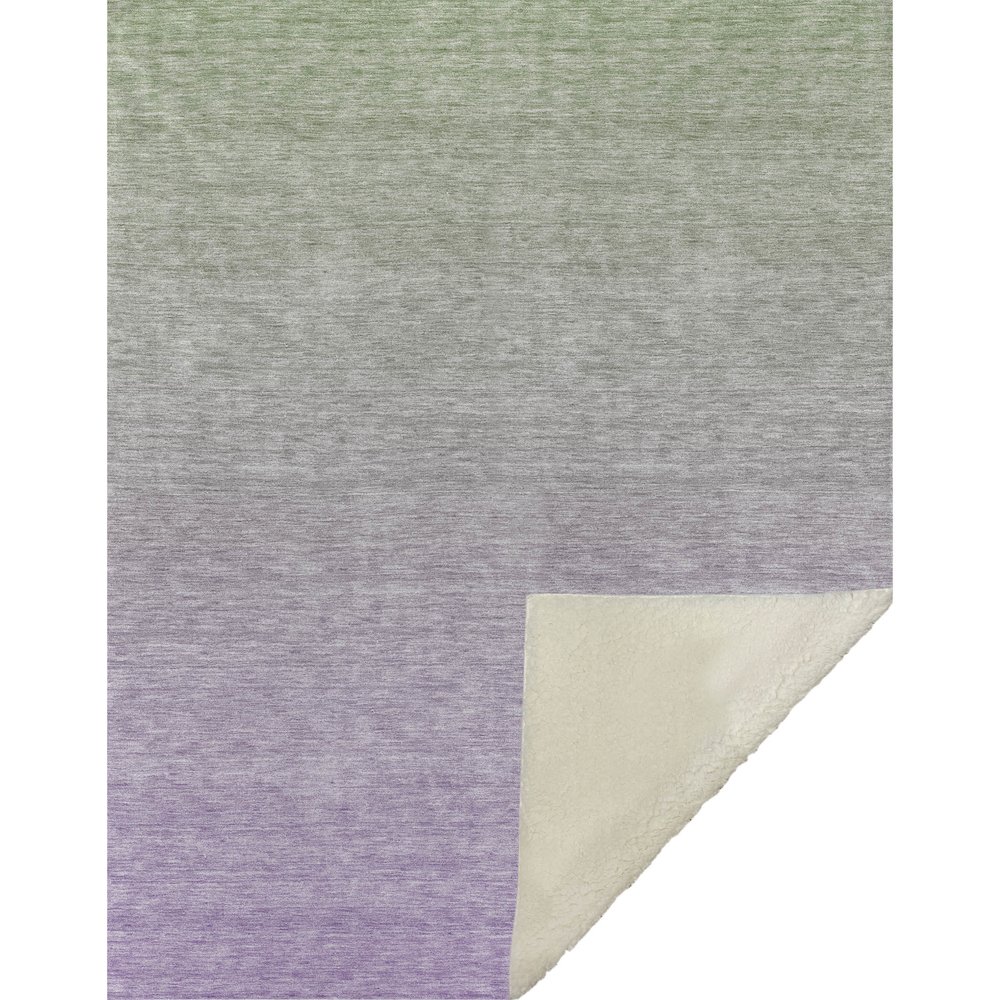 Premium Machine Washable ASB845 Aloe 50" x 70" Sherpa Throw Blanket. Picture 1