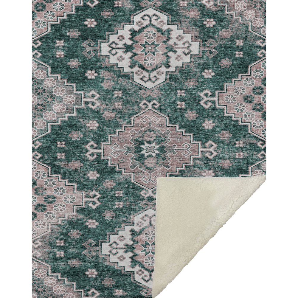Premium Machine Washable ASB846 Emerald 50" x 70" Sherpa Throw Blanket. Picture 1