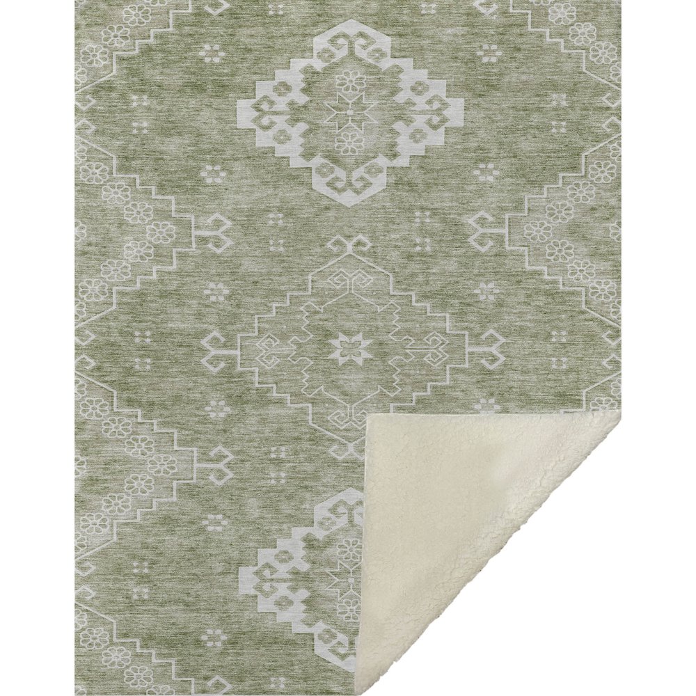 Premium Machine Washable ASB847 Aloe 50" x 70" Sherpa Throw Blanket. Picture 1