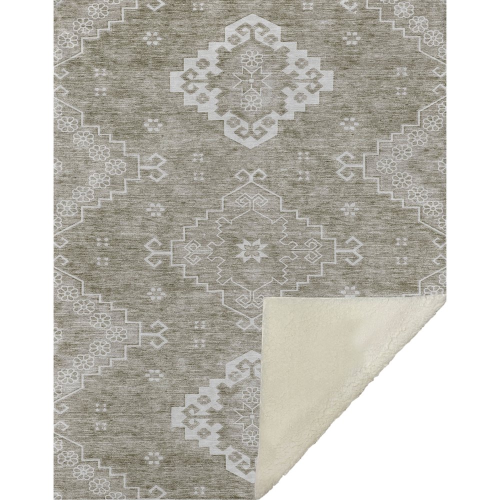 Premium Machine Washable ASB847 Taupe 50" x 70" Sherpa Throw Blanket. Picture 1