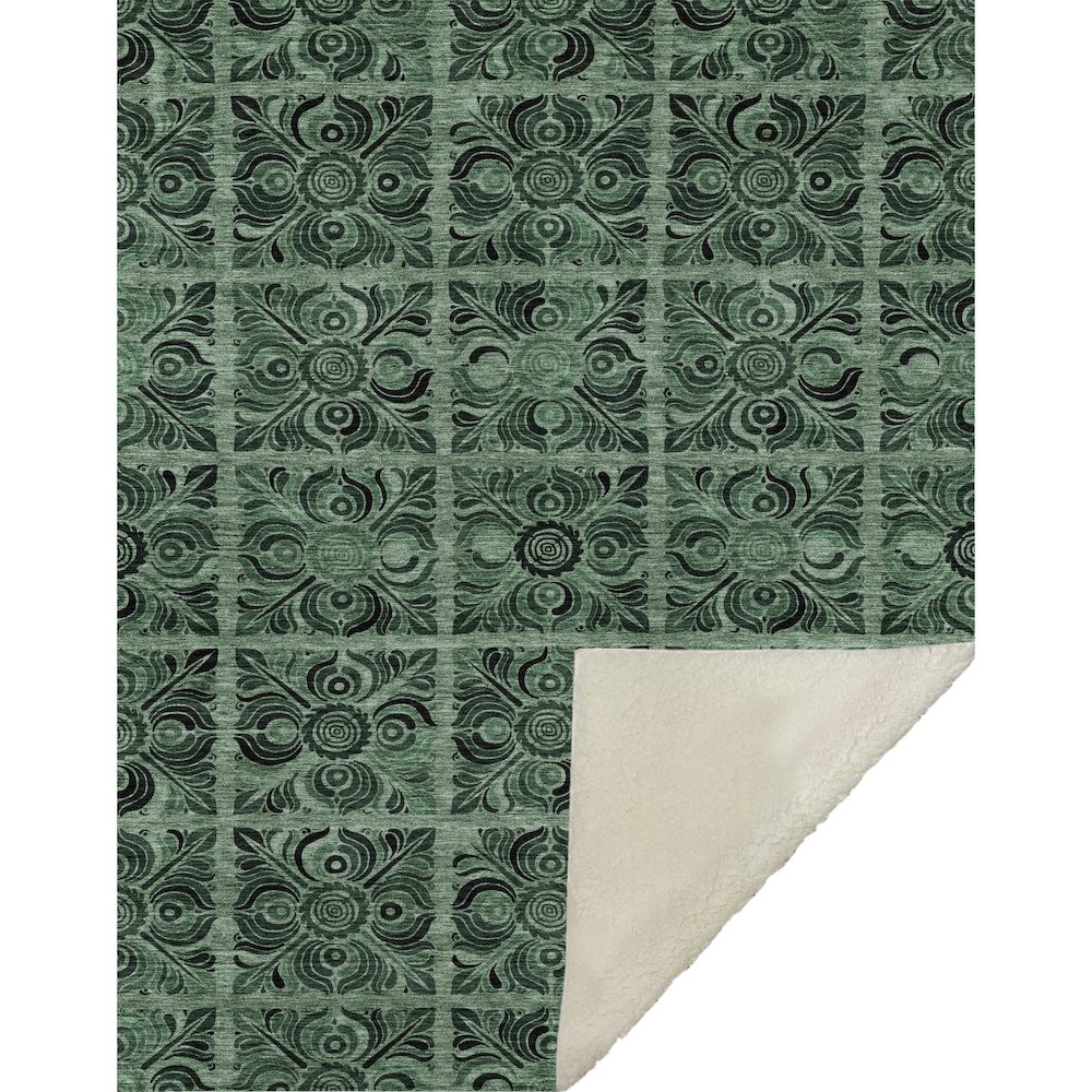 Premium Machine Washable ASB853 Green 50" x 70" Sherpa Throw Blanket. Picture 1