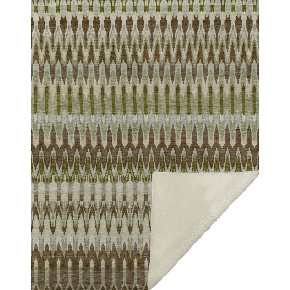 Premium Machine Washable ASB860 Green 50" x 70" Sherpa Throw Blanket. Picture 1