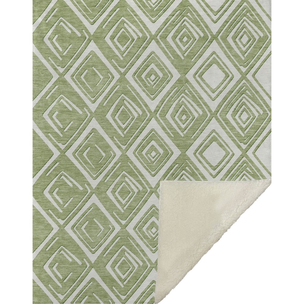 Premium Machine Washable ASB862 Green 50" x 70" Sherpa Throw Blanket. Picture 1