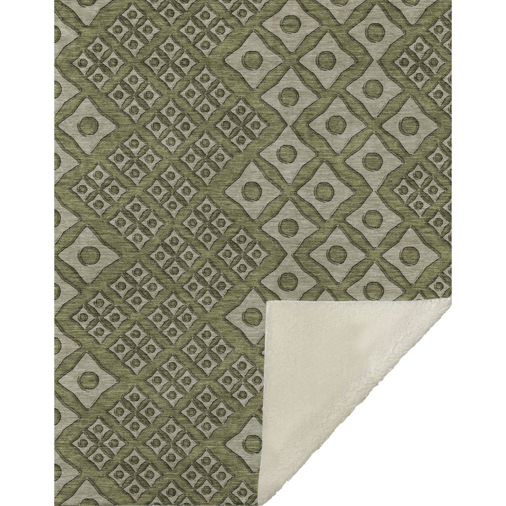 Premium Machine Washable ASB866 Olive 50" x 70" Sherpa Throw Blanket. Picture 1