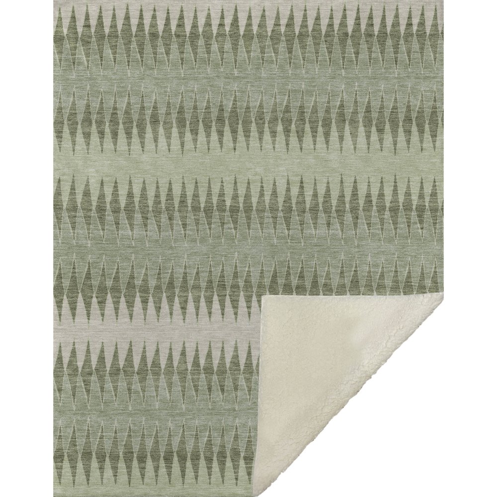 Premium Machine Washable ASB867 Aloe 50" x 70" Sherpa Throw Blanket. Picture 1