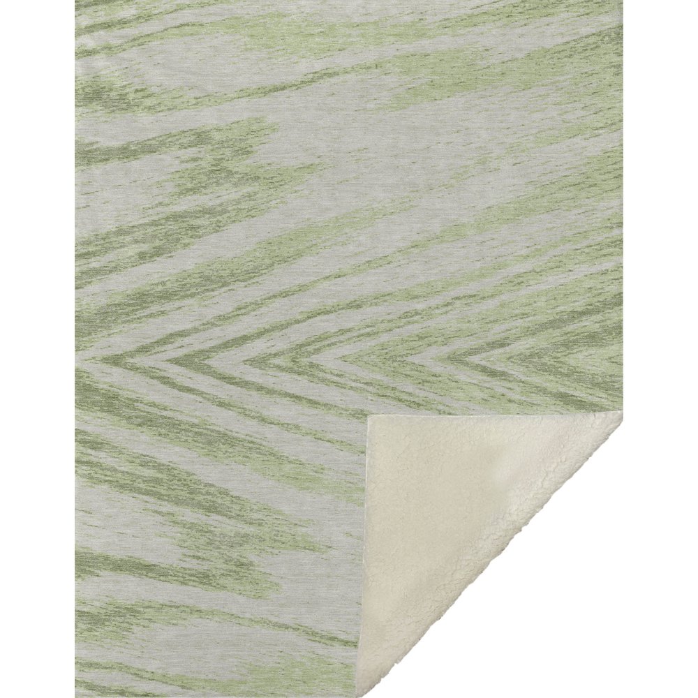 Premium Machine Washable ASB876 Aloe 50" x 70" Sherpa Throw Blanket. Picture 1