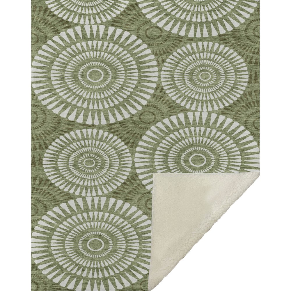 Premium Machine Washable ASB877 Green 50" x 70" Sherpa Throw Blanket. Picture 1