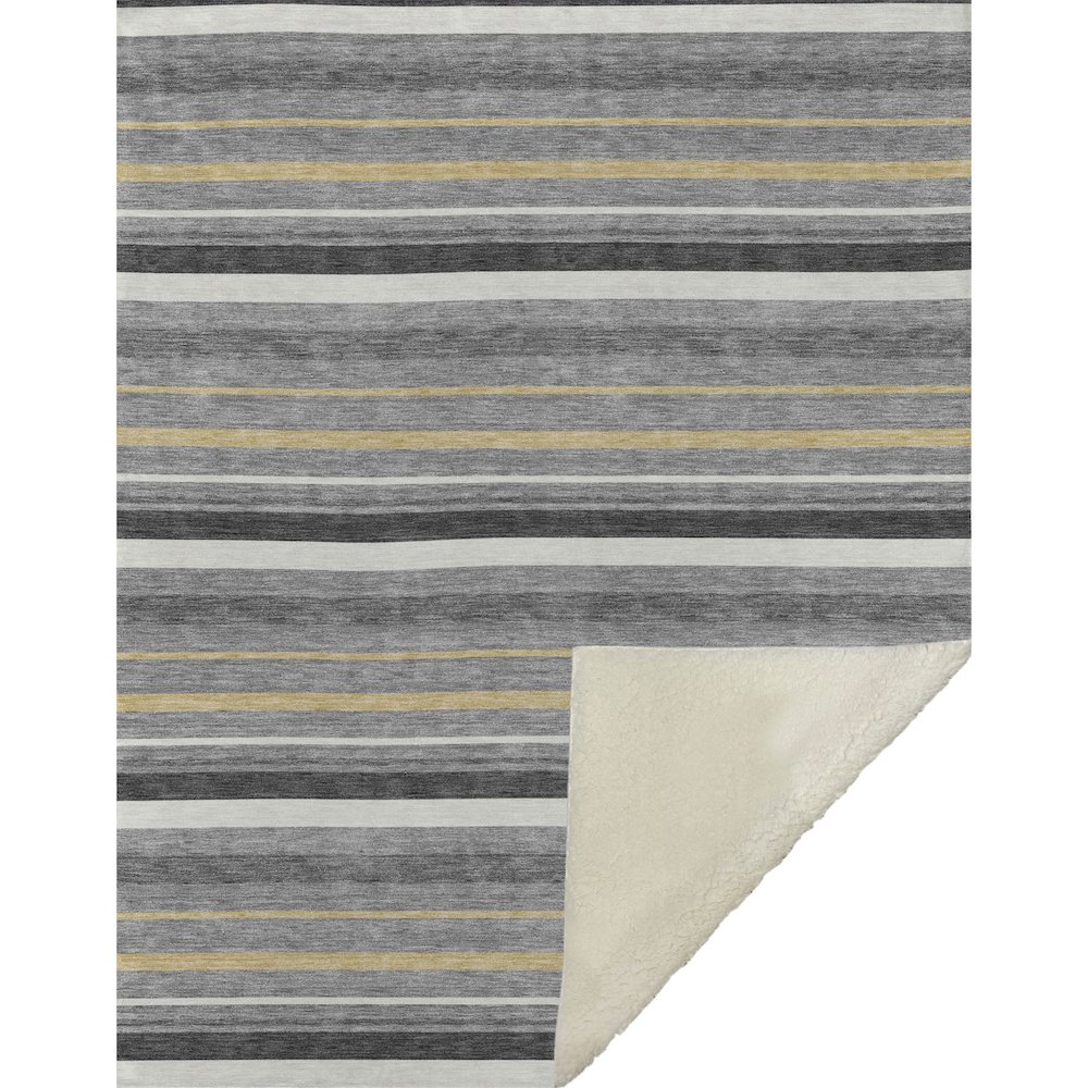 Premium Machine Washable ASB879 Gray 50" x 70" Sherpa Throw Blanket. Picture 1