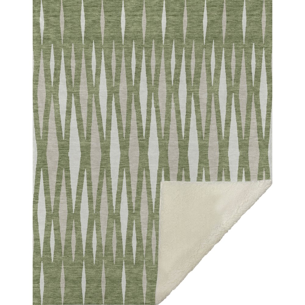 Premium Machine Washable ASB881 Green 50" x 70" Sherpa Throw Blanket. Picture 1