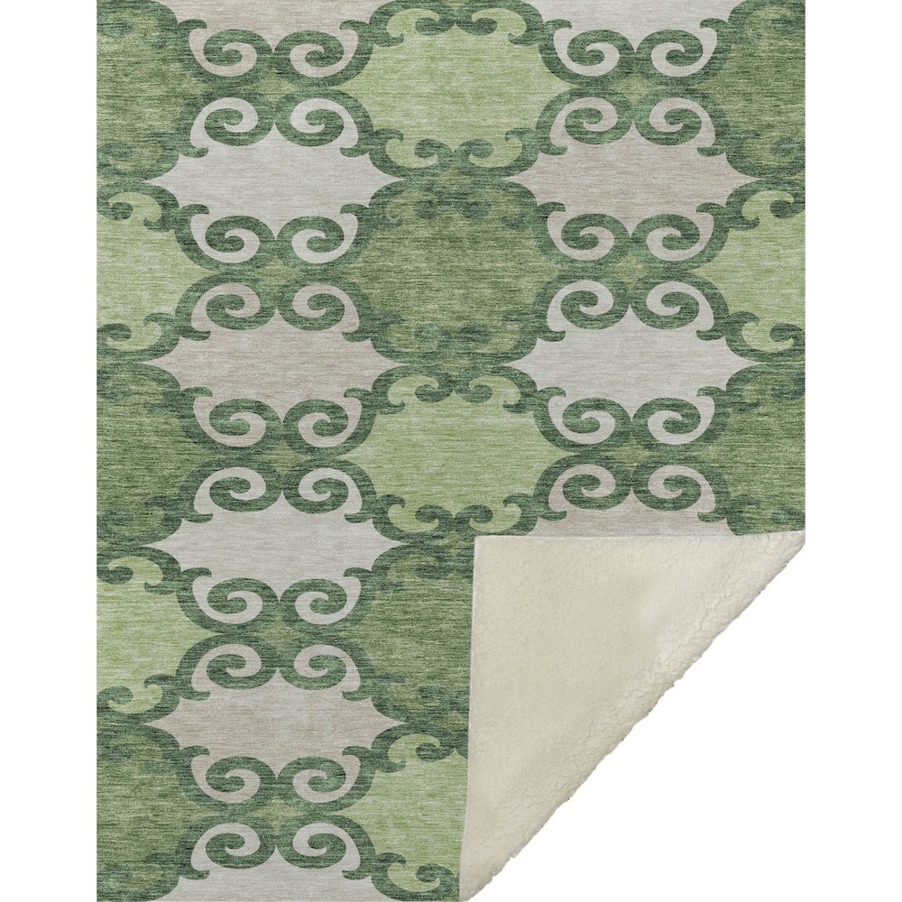 Premium Machine Washable ASB883 Green 50" x 70" Sherpa Throw Blanket. Picture 1