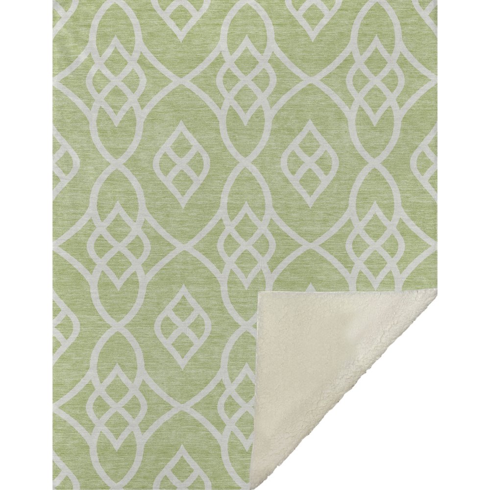 Premium Machine Washable ASB884 Aloe 50" x 70" Sherpa Throw Blanket. Picture 1