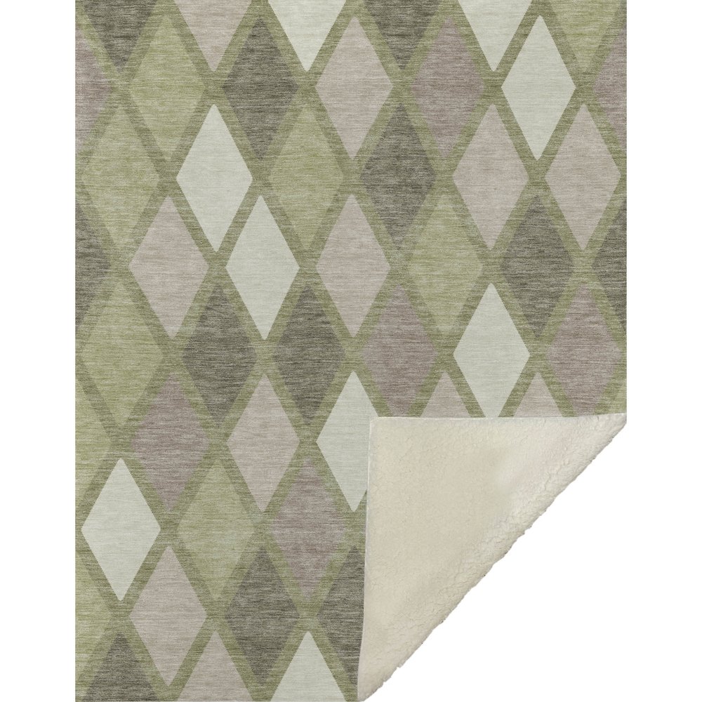 Premium Machine Washable ASB887 Aloe 50" x 70" Sherpa Throw Blanket. Picture 1
