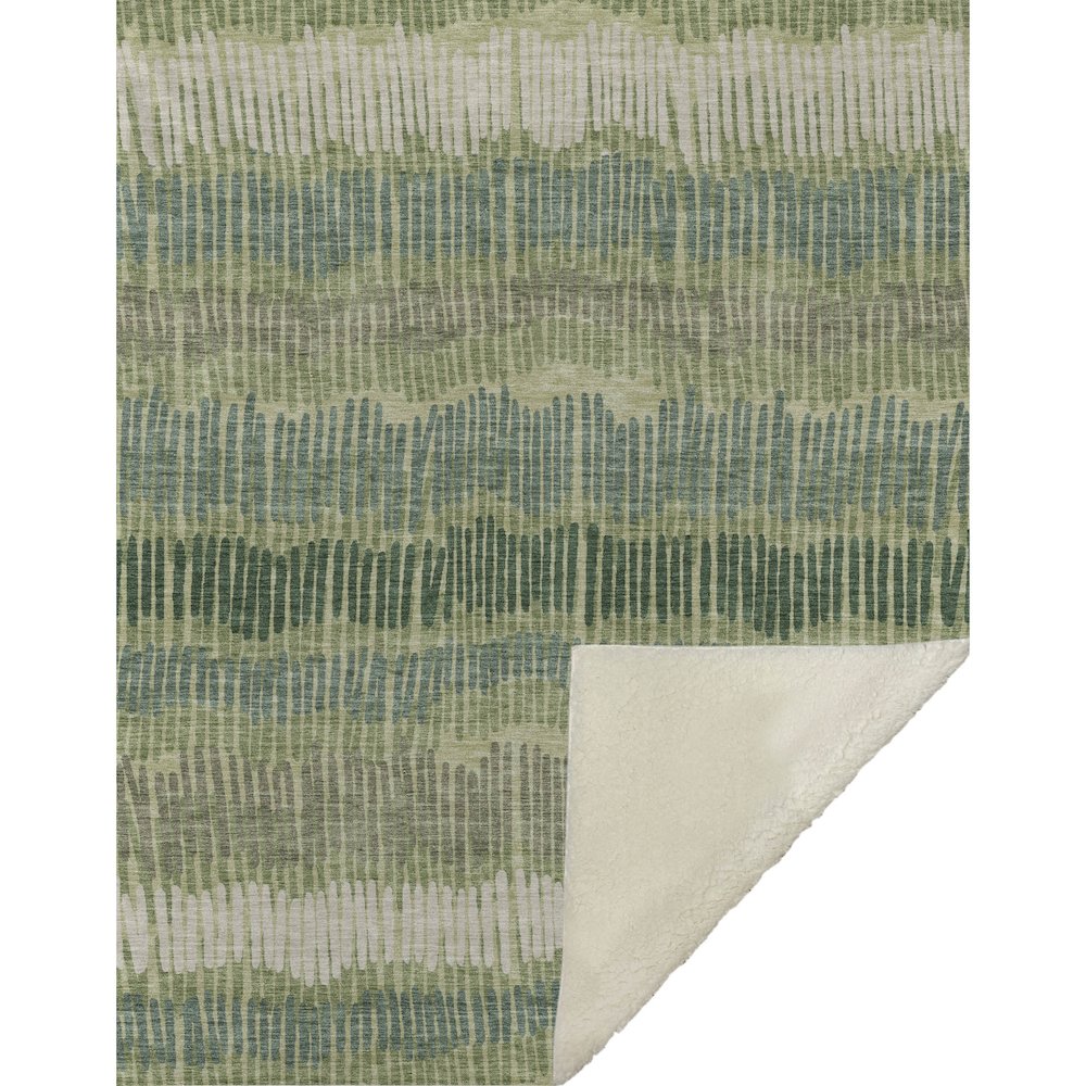 Premium Machine Washable ASB889 Green 50" x 70" Sherpa Throw Blanket. Picture 1