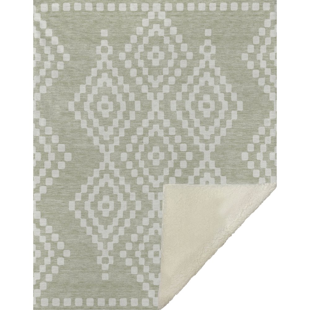 Premium Machine Washable ASB891 Aloe 50" x 70" Sherpa Throw Blanket. Picture 1