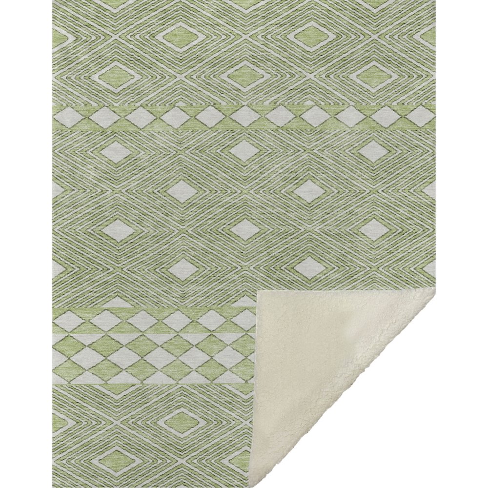 Premium Machine Washable ASB898 Aloe 50" x 70" Sherpa Throw Blanket. Picture 1