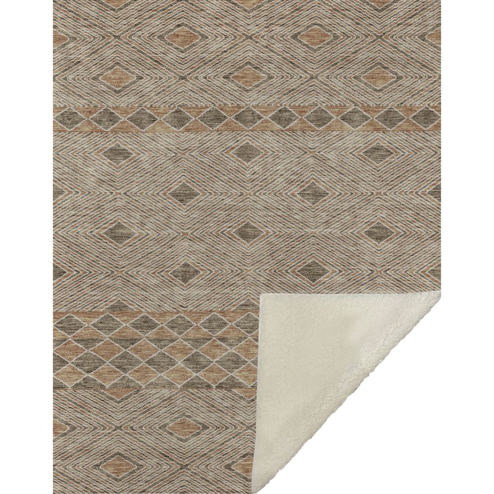 Premium Machine Washable ASB898 Brown 50" x 70" Sherpa Throw Blanket. Picture 1