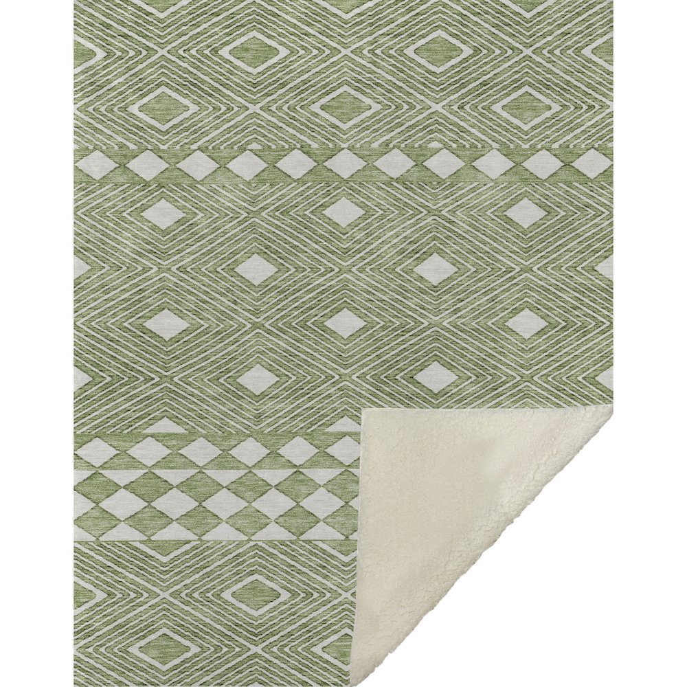 Premium Machine Washable ASB898 Green 50" x 70" Sherpa Throw Blanket. Picture 1