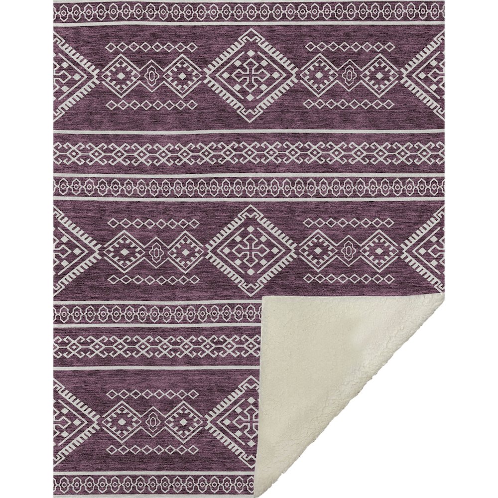 Premium Machine Washable ASB901 Eggplant 50" x 70" Sherpa Throw Blanket. Picture 1