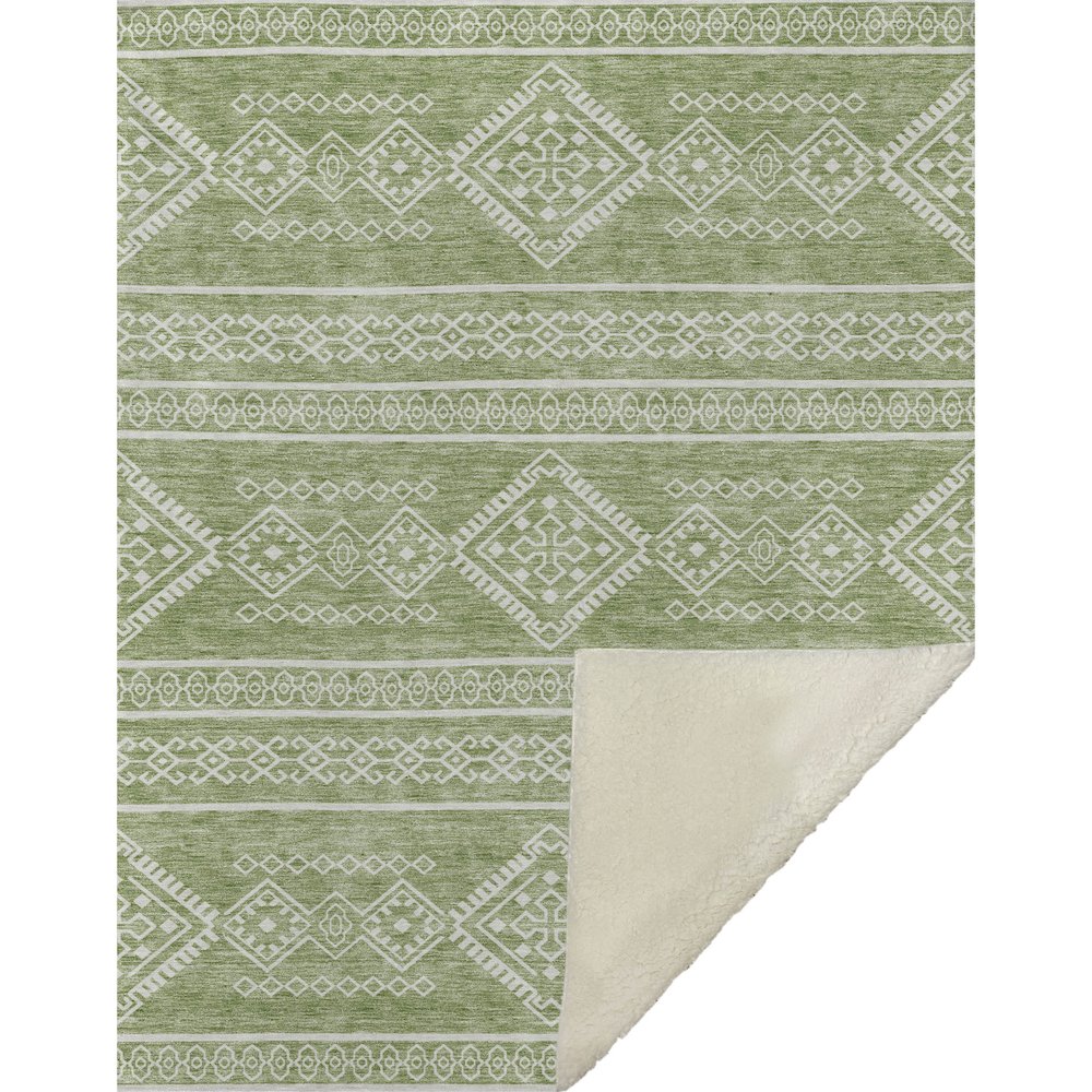 Premium Machine Washable ASB901 Green 50" x 70" Sherpa Throw Blanket. Picture 1