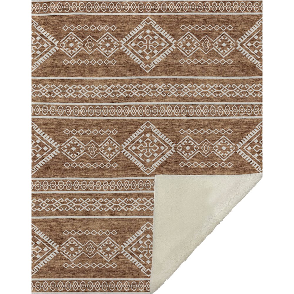 Premium Machine Washable ASB901 Paprika 50" x 70" Sherpa Throw Blanket. Picture 1