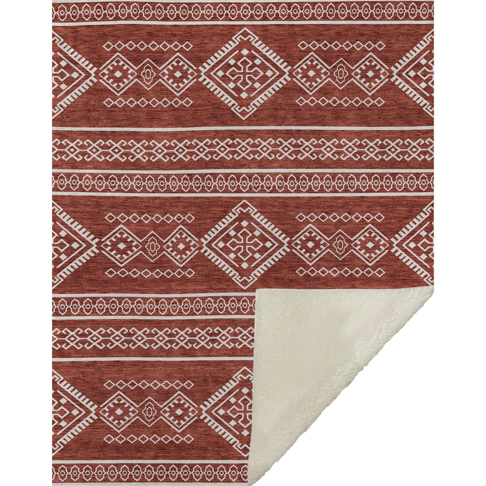 Premium Machine Washable ASB901 Red 50" x 70" Sherpa Throw Blanket. Picture 1