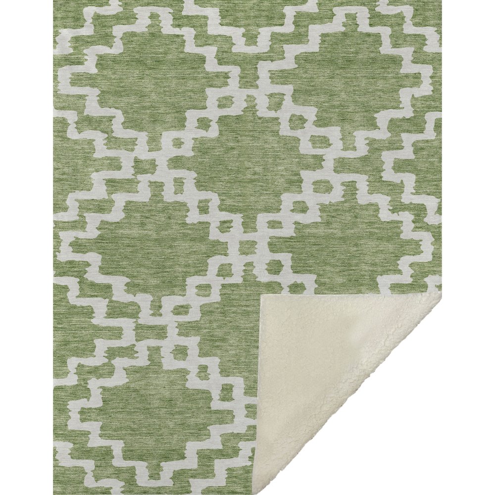 Premium Machine Washable ASB902 Aloe 50" x 70" Sherpa Throw Blanket. Picture 1