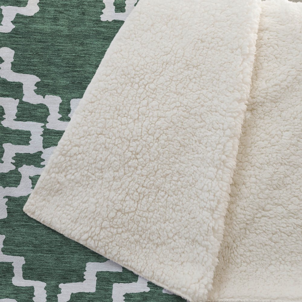 Premium Machine Washable ASB902 Emerald 50" x 70" Sherpa Throw Blanket. Picture 2