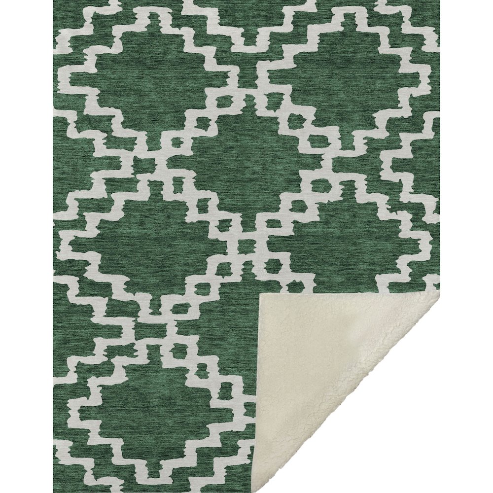 Premium Machine Washable ASB902 Emerald 50" x 70" Sherpa Throw Blanket. Picture 1