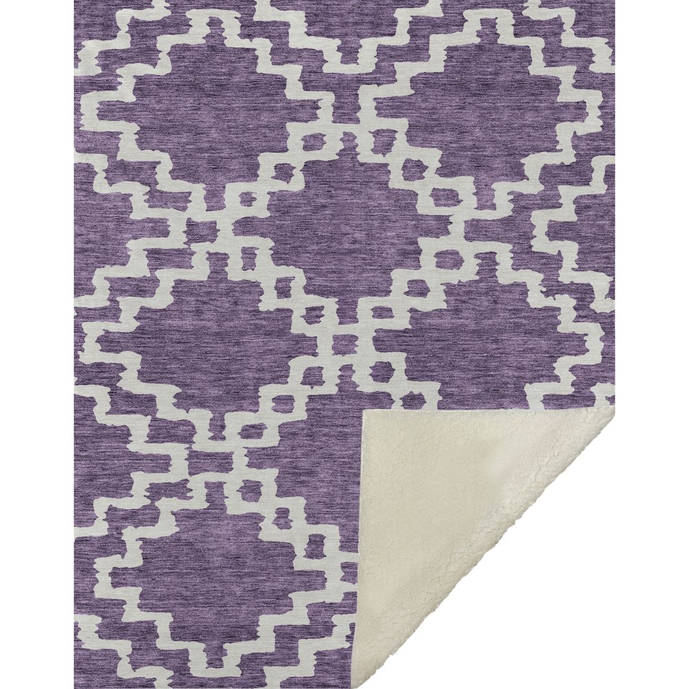 Premium Machine Washable ASB902 Purple 50" x 70" Sherpa Throw Blanket. Picture 1