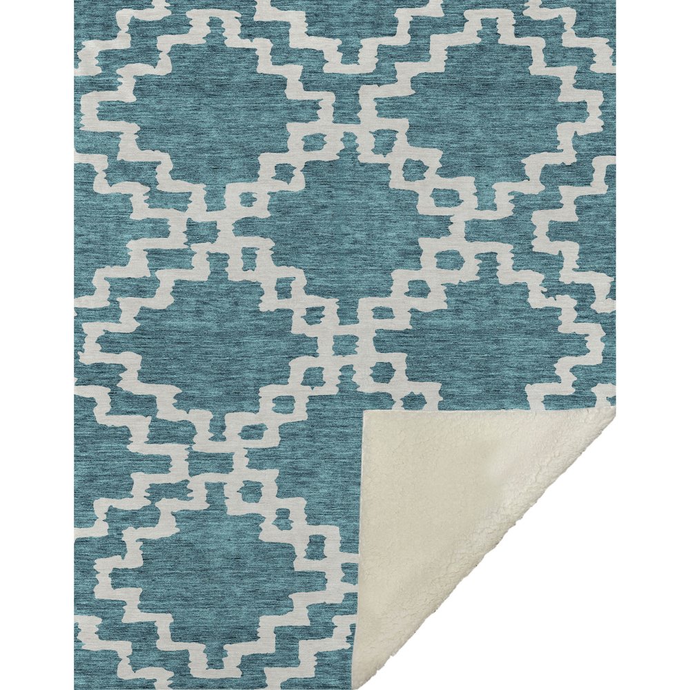 Premium Machine Washable ASB902 Teal 50" x 70" Sherpa Throw Blanket. Picture 1