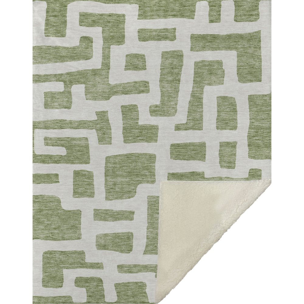 Premium Machine Washable ASB903 Green 50" x 70" Sherpa Throw Blanket. Picture 1