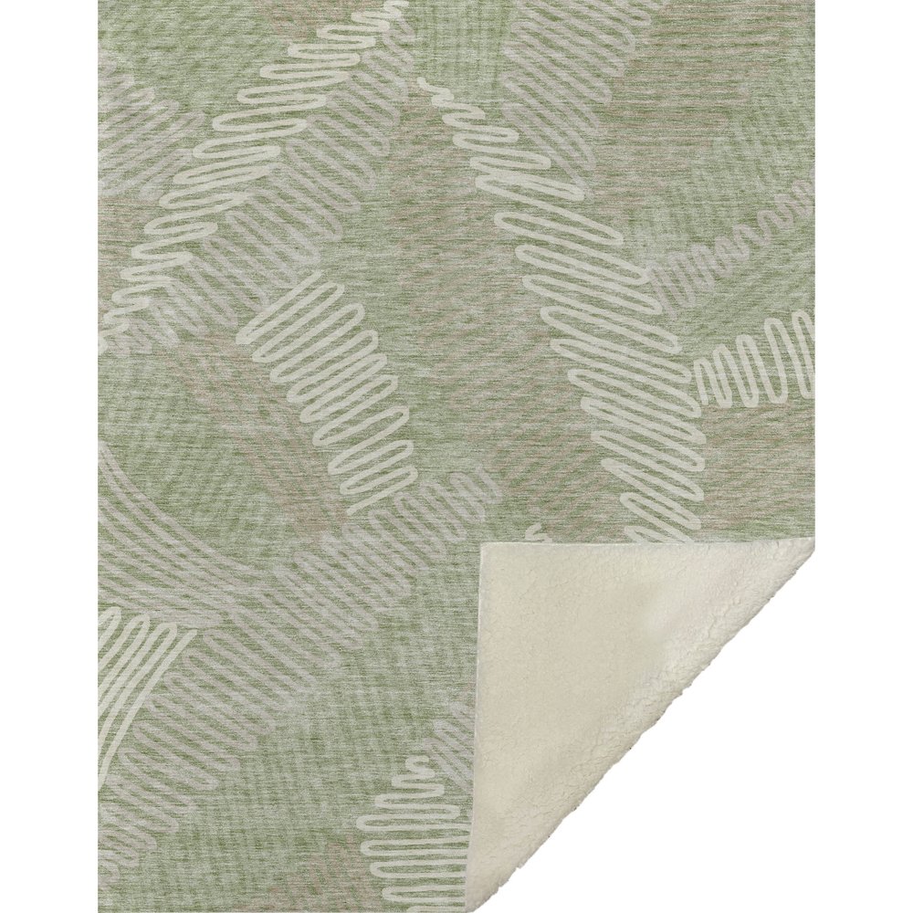 Premium Machine Washable ASB904 Aloe 50" x 70" Sherpa Throw Blanket. Picture 1